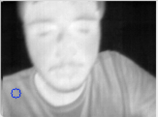 Thermal image of left shirt area - lower baseline temperature than skin