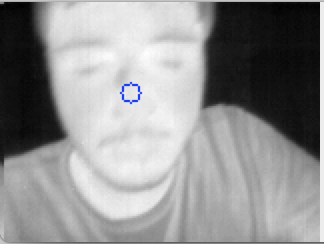 Thermal image of nose - typically cooler than core body temperature